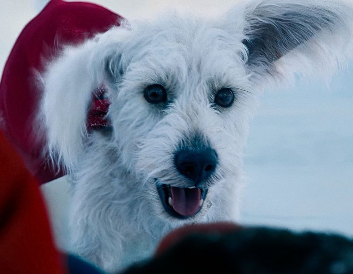 'Superman' Almost Opened with Krypto's Violent Yeti Hunt, Reveals VFX Lead